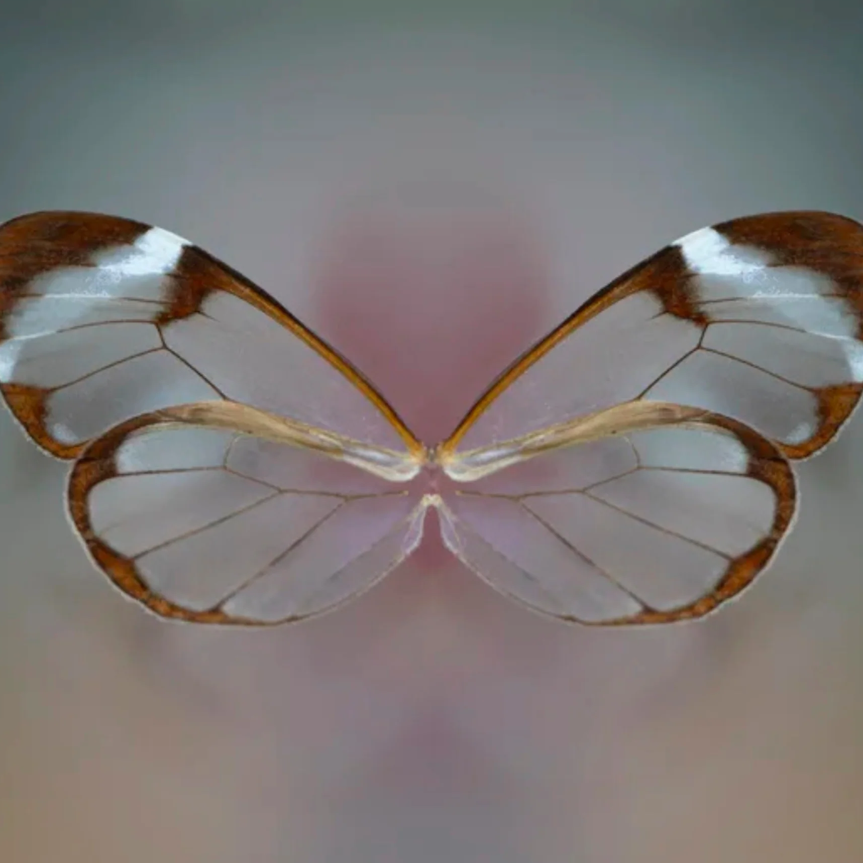 BethRose Photography