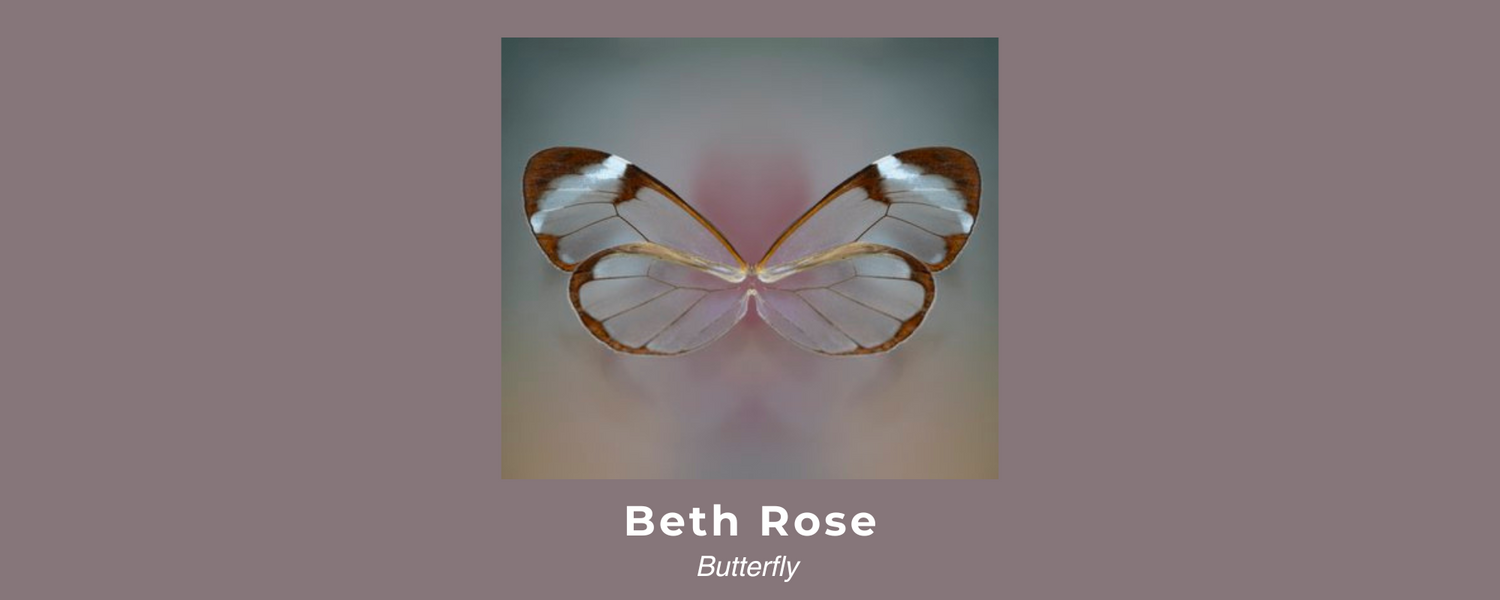 Beth Rose Photography