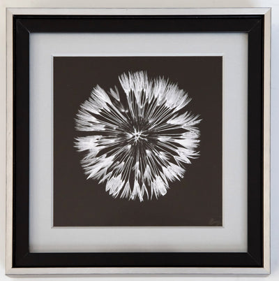 Dandelion After the Rain 8x8