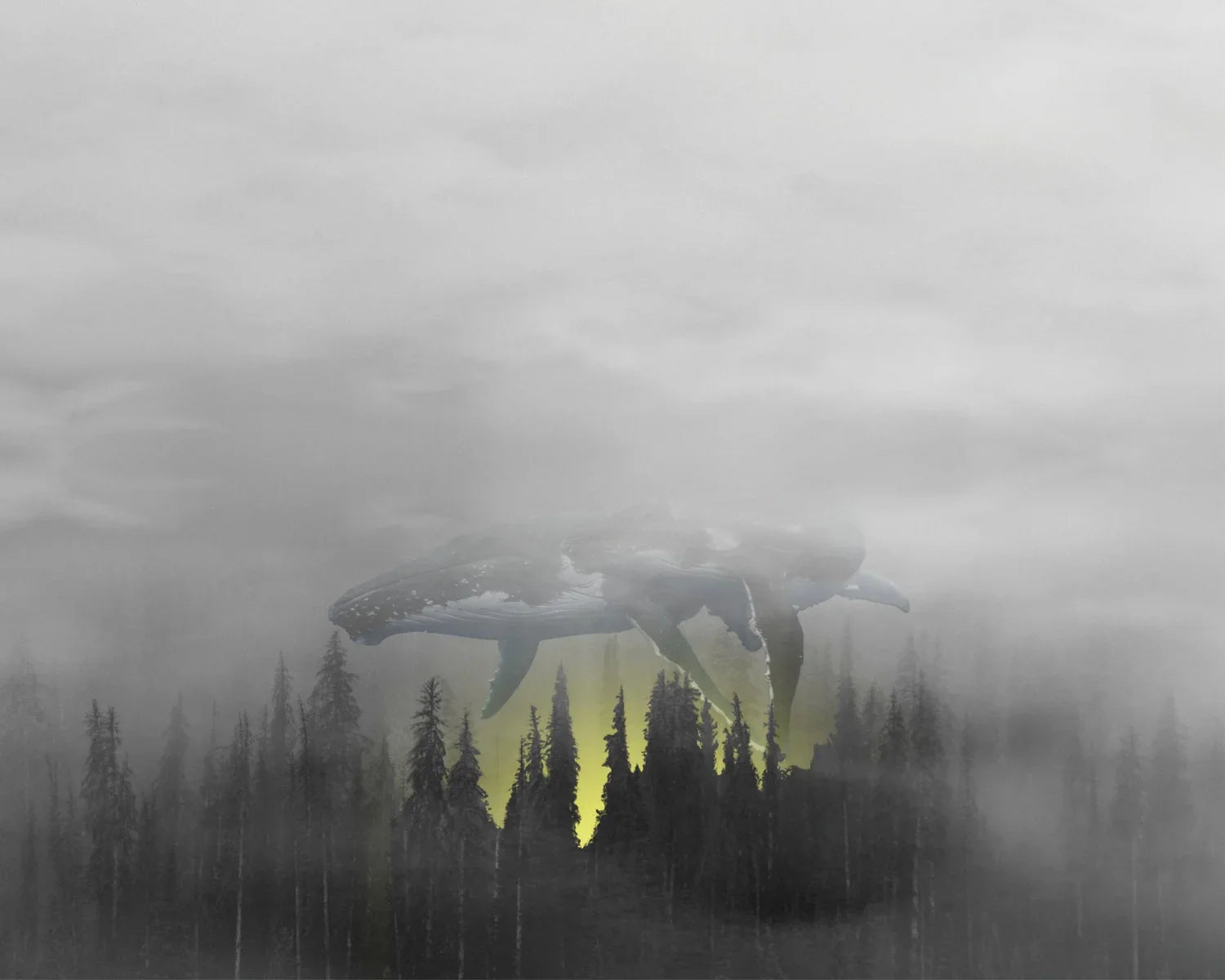 The Breach - Print