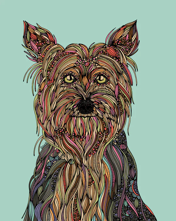 Trixie the Yorkshire terrier