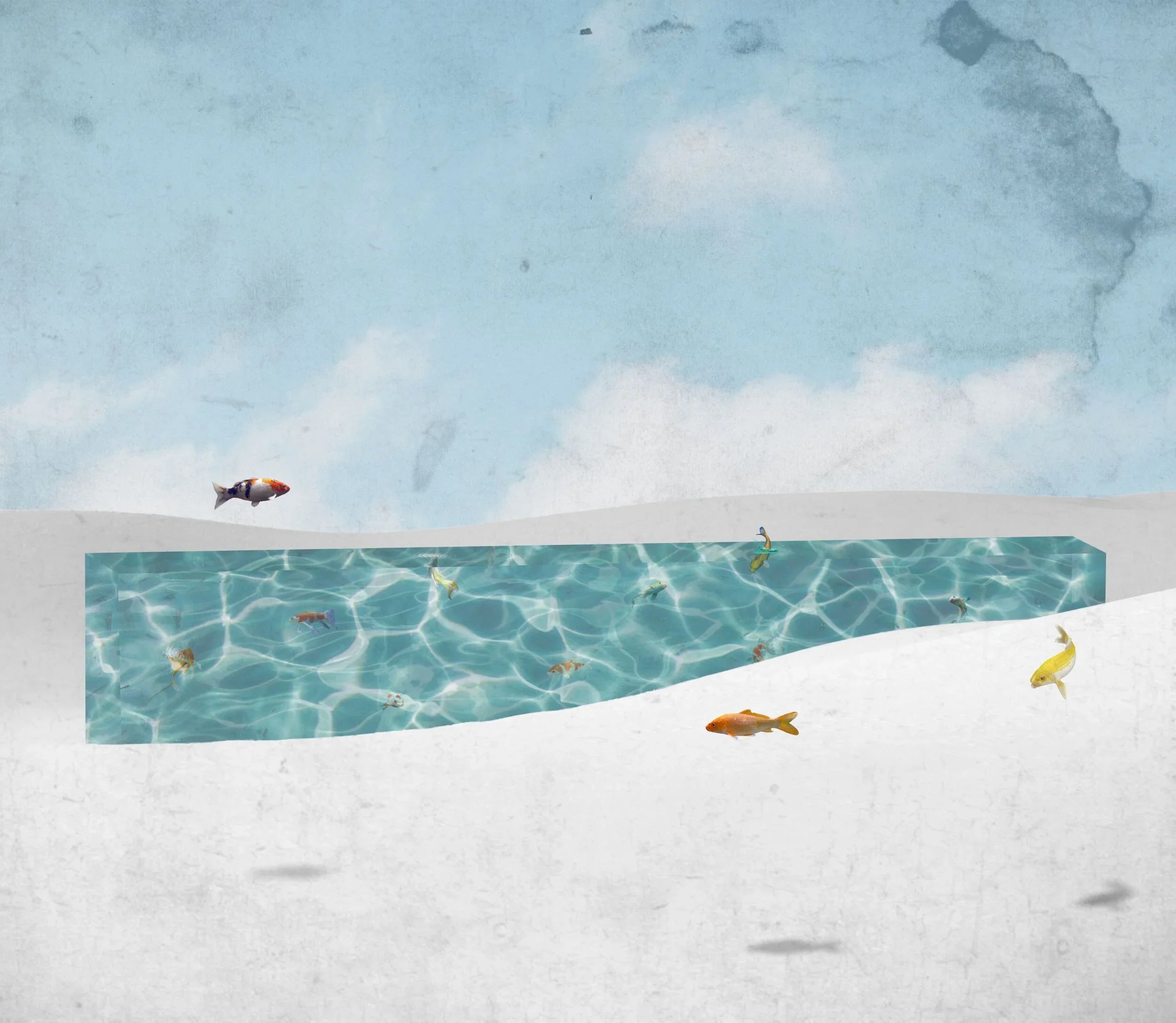 Fish Out of Water
