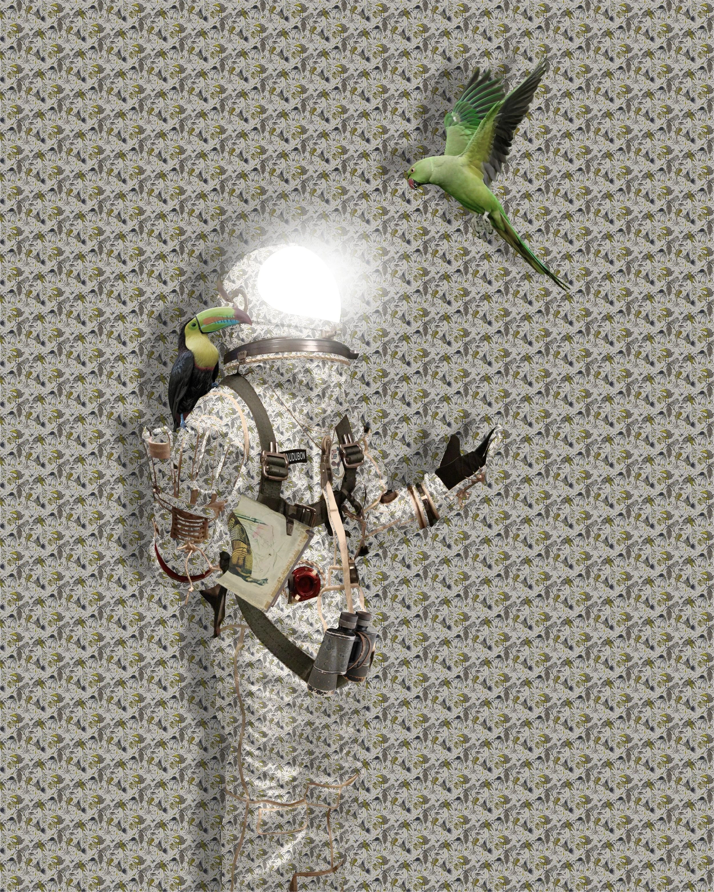 Flight