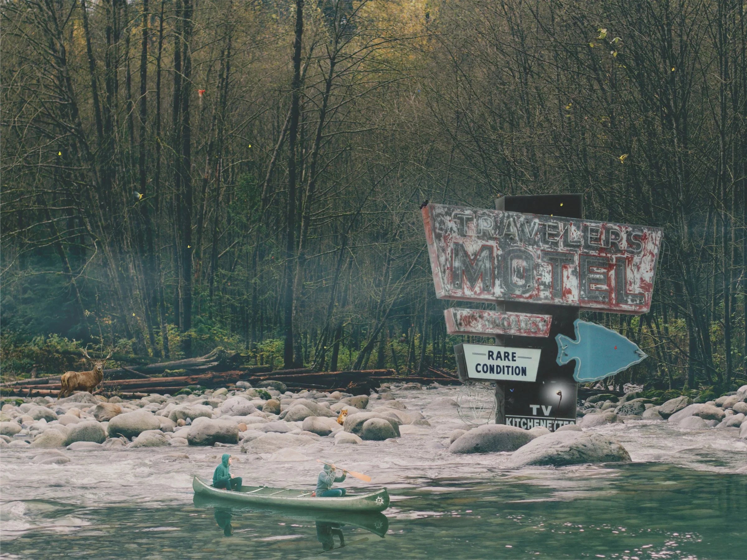 Follow the Signs