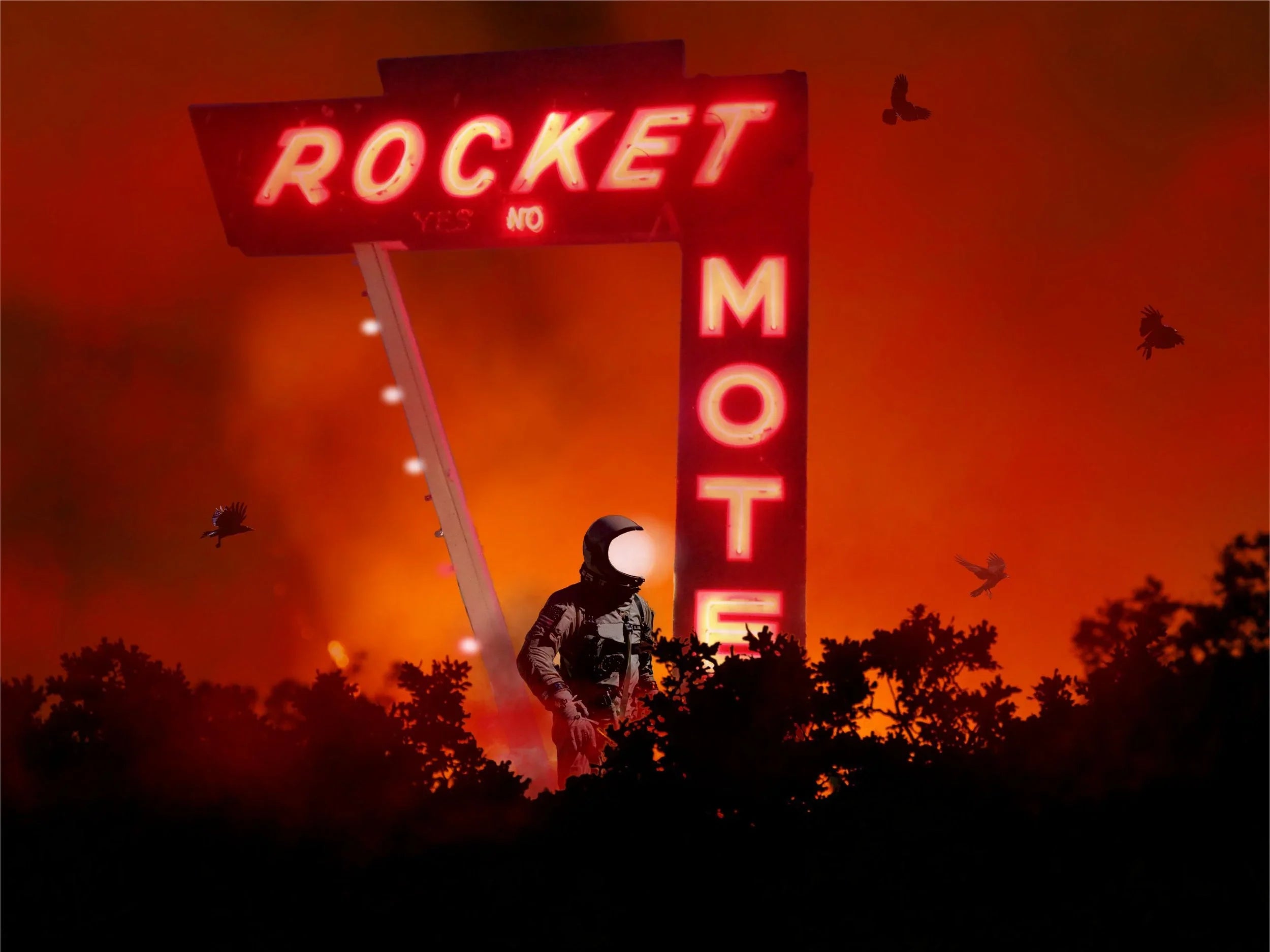 From the Ashes