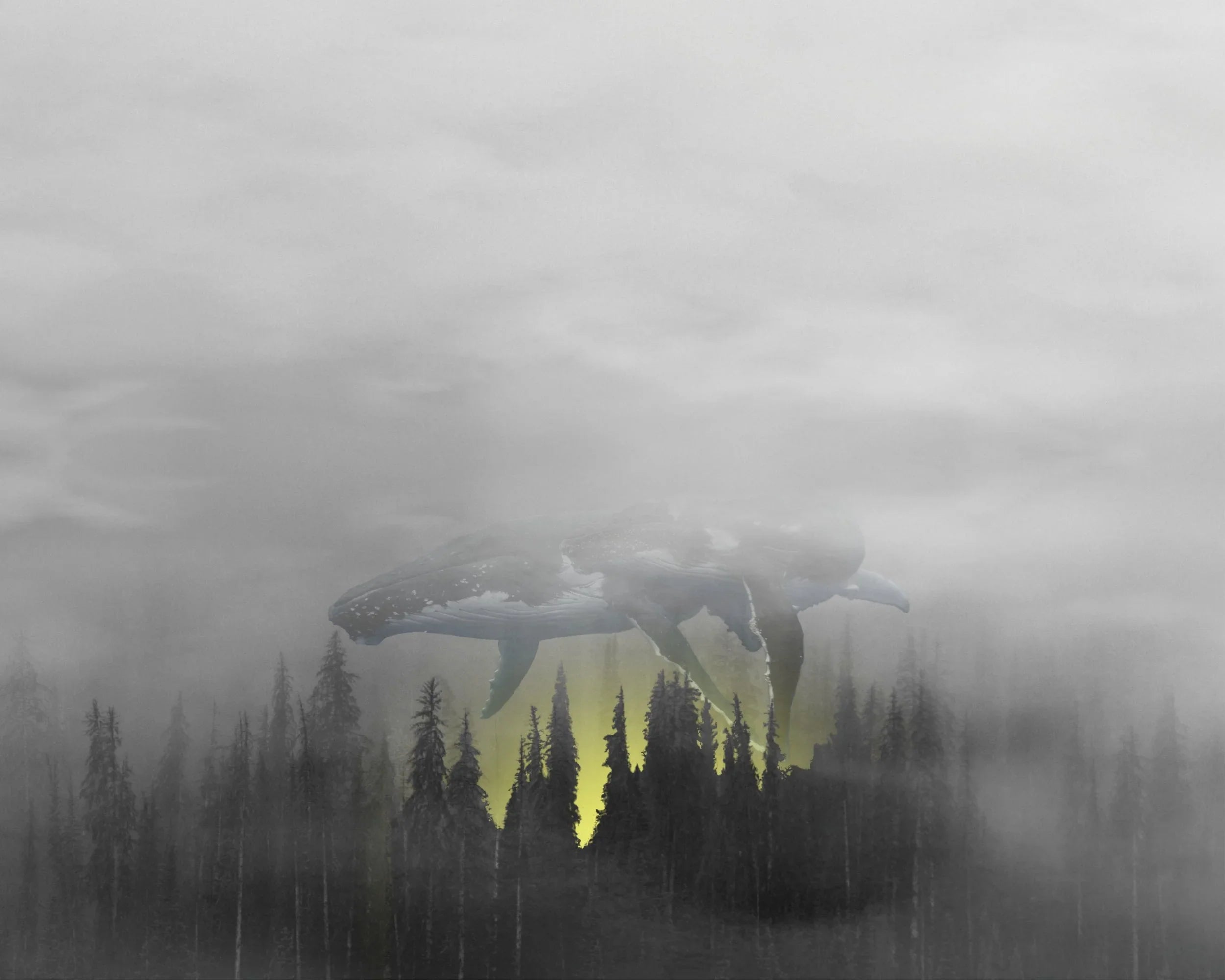 The Breach