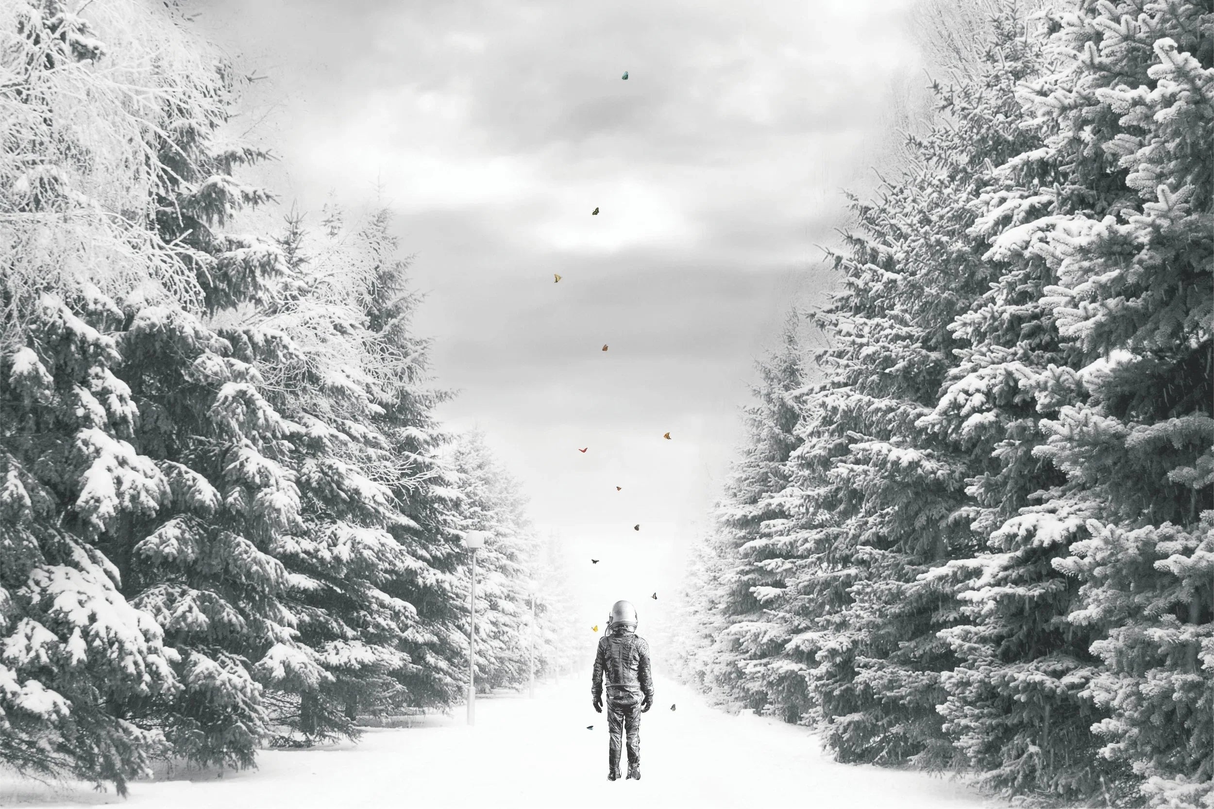 The Path